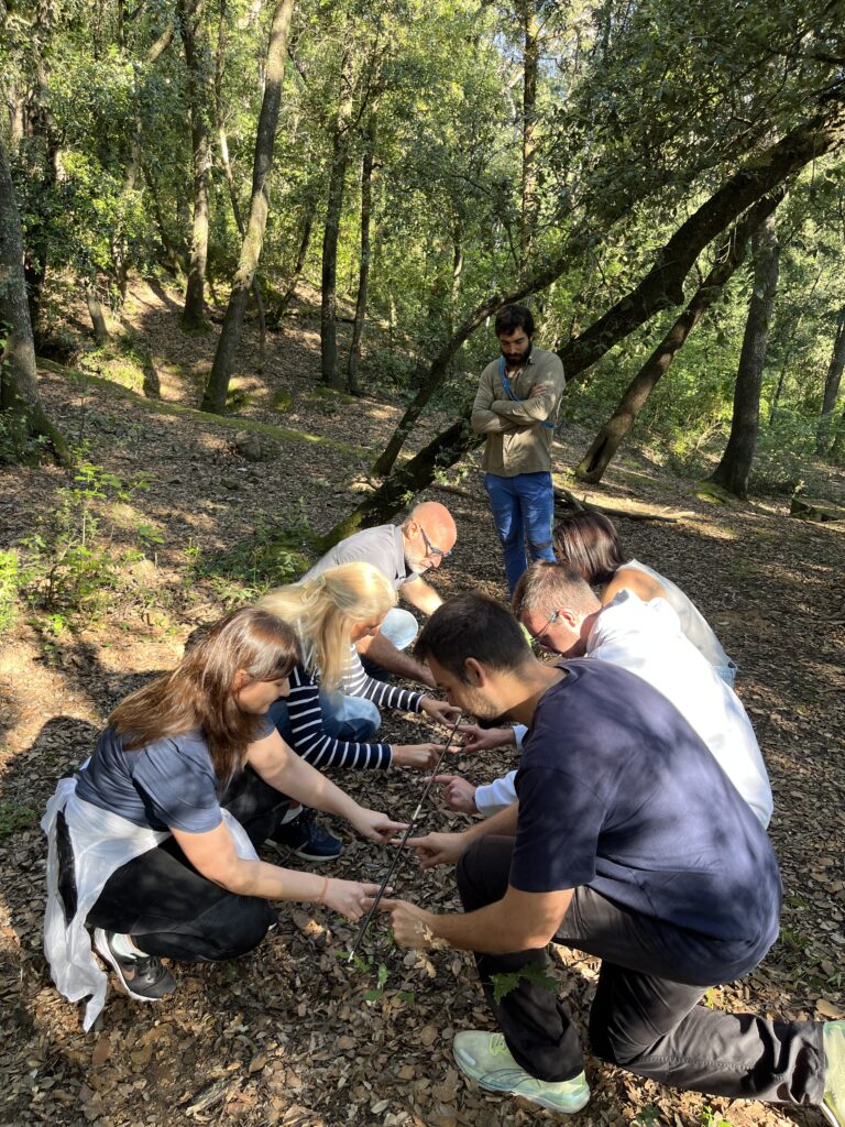 Participants col·laborant per coordinar una vareta lleugera al bosc en una activitat d’equip